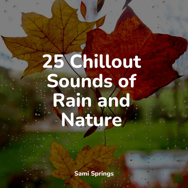 25 Chillout Sounds of Rain and Nature - Album by Relaxing Sleep Music ...