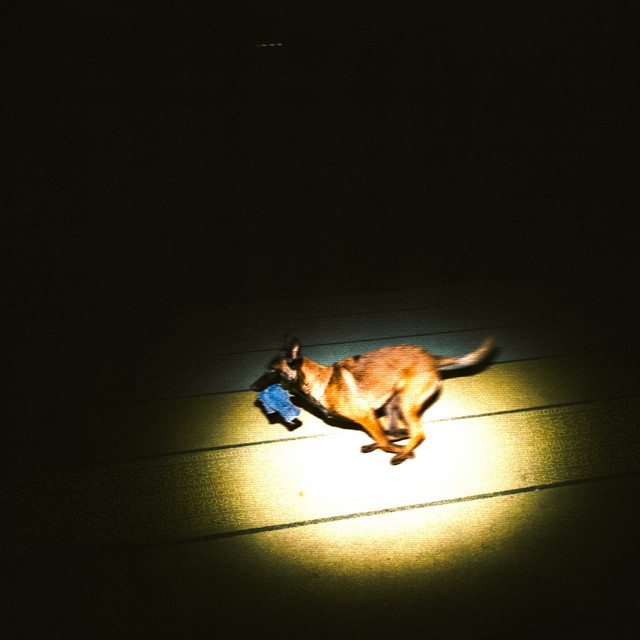 Album cover for PLAN B by Venty