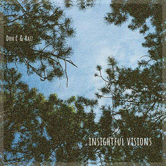 Insightful Visions cover art
