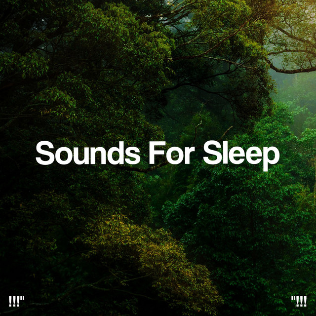 Sounds For Sleep !!!" - Album by Sleep Sounds of Nature | Spotify
