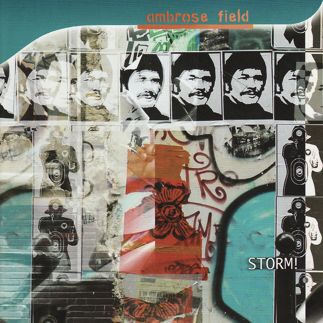 Storm! cover art