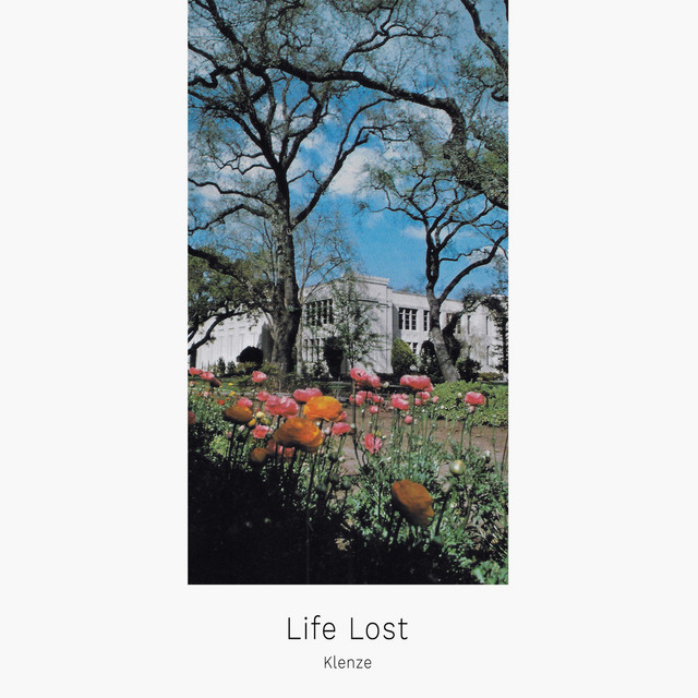 Life Lost cover art