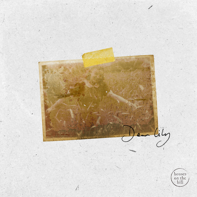 Dear Lily cover art