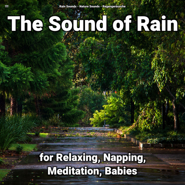 !!!! The Sound of Rain for Relaxing, Napping, Meditation, Babies cover art