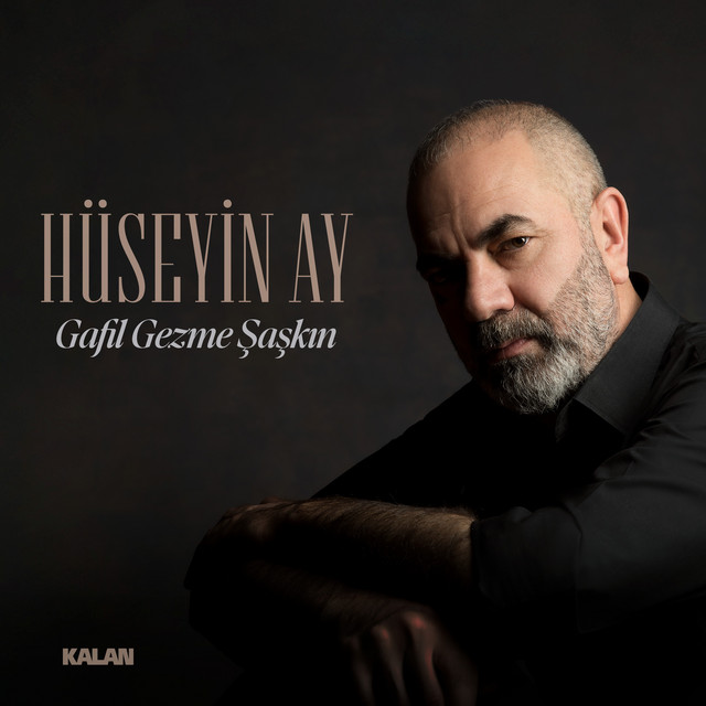 Gafil Gezme Şaşkın cover art
