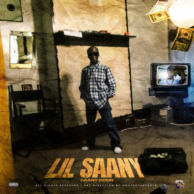 Lil Saany cover art