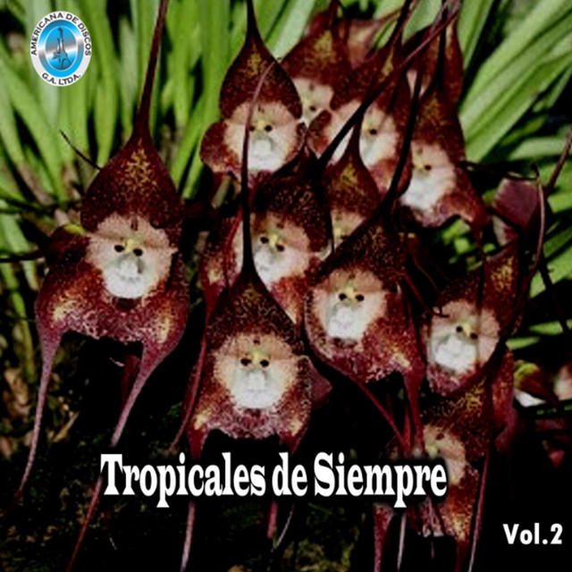 Tropicales de Siempre, Vol. 2 cover