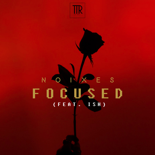 Focused cover art