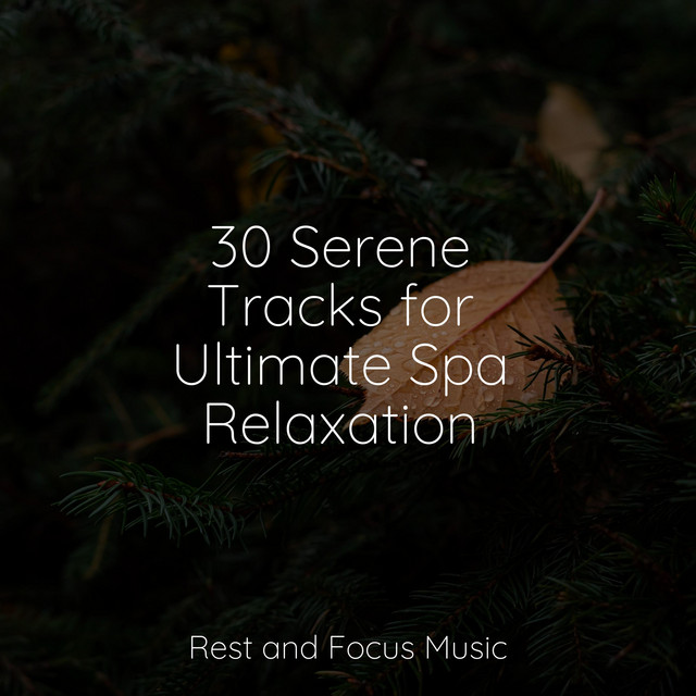 30 Serene Tracks for Ultimate Spa Relaxation - Album by Meditation ...