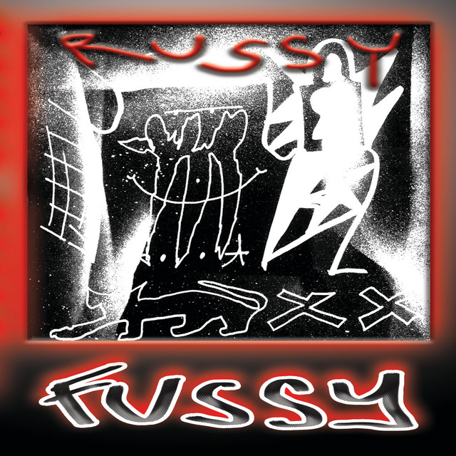 fussy cover art