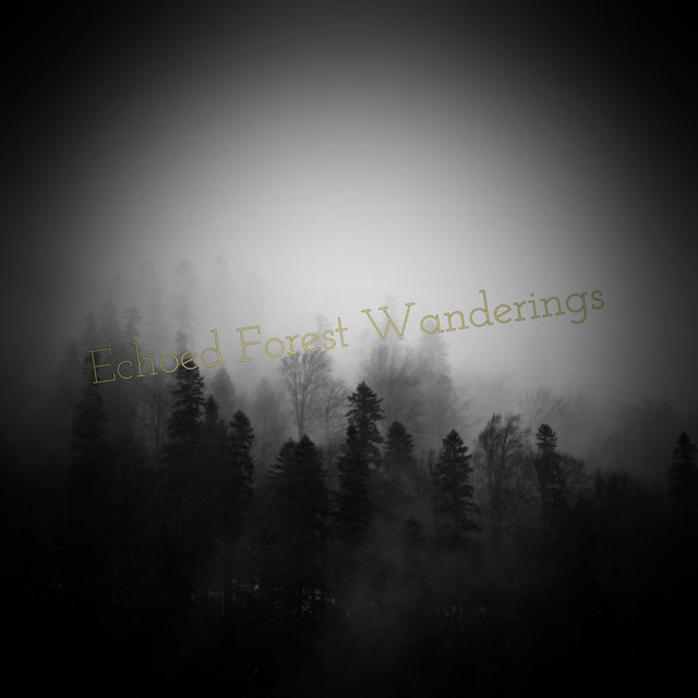 Echoed Forest Wanderings cover art