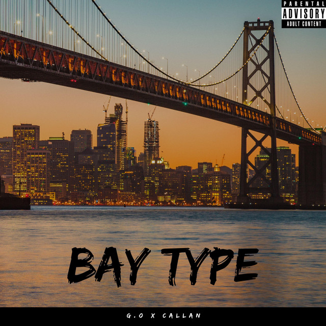 Bay Type cover art
