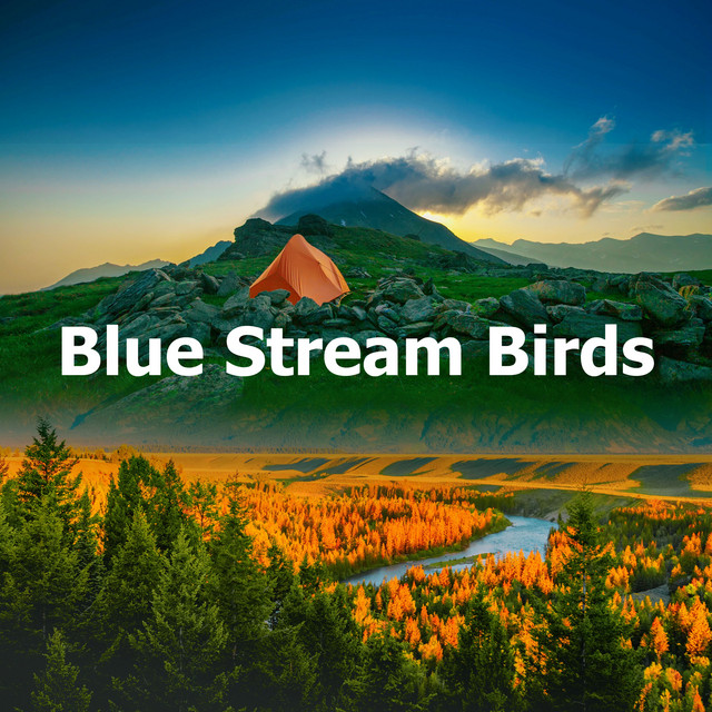 Blue Stream Birds - Album by Sounds of Nature Relaxation | Spotify