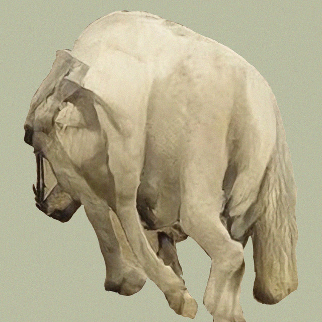 Live at Hátíðni (July, 2021) cover art
