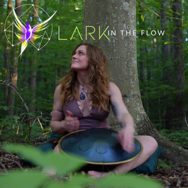 In The Flow cover art