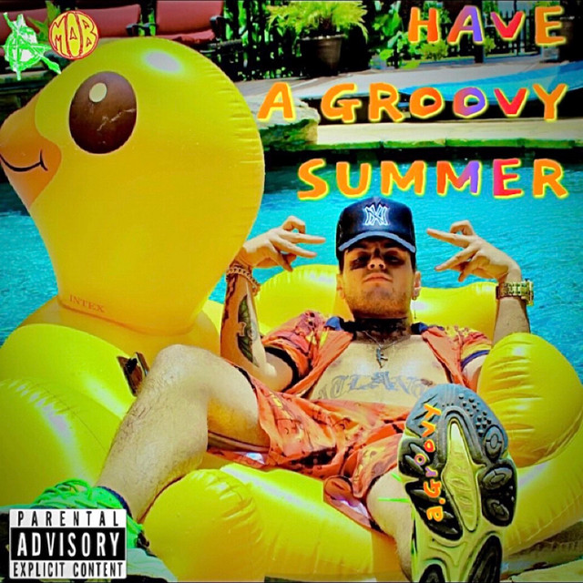 HAVE A GROOVY SUMMER cover art