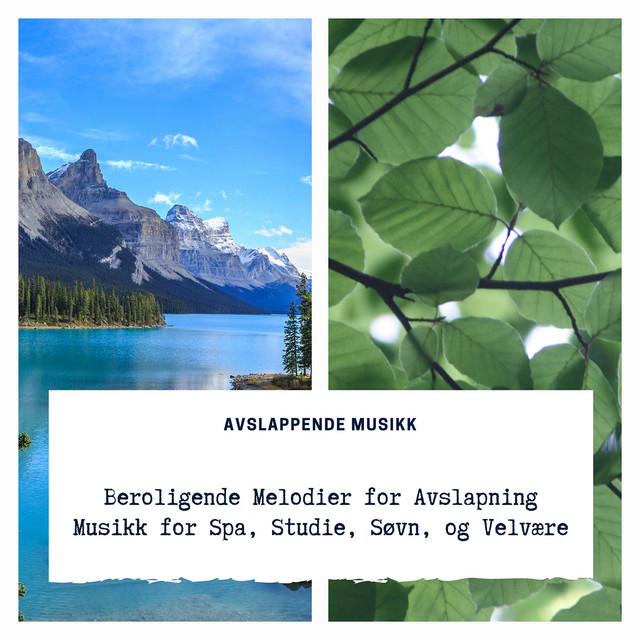 Beroligende Melodier for Avslapning: Musikk for Spa, Studie, Søvn, og Velvære cover art