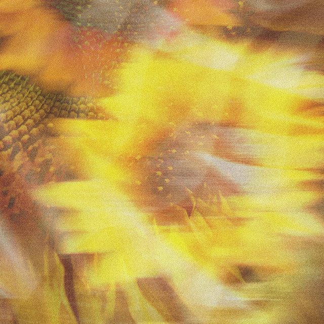 give love a chance cover art