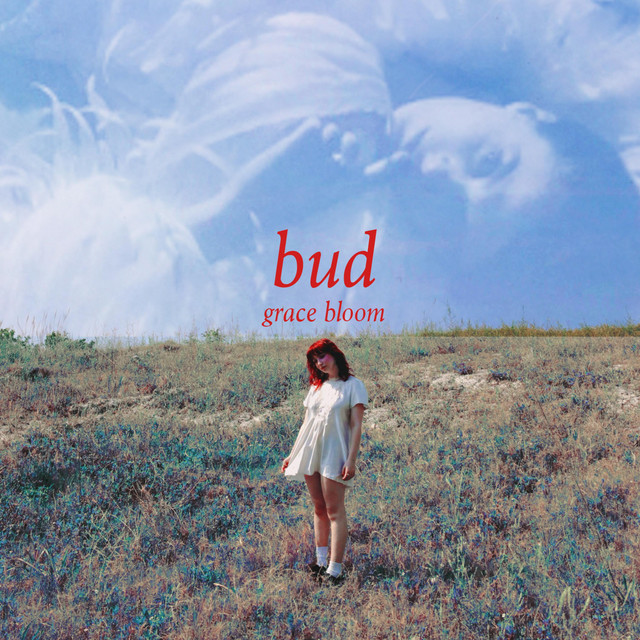 BUD cover art