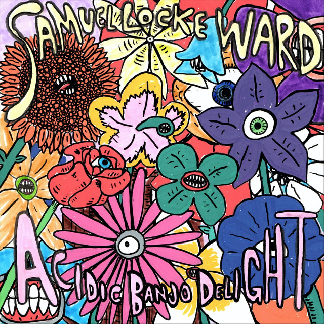Acidic Banjo Delight album image