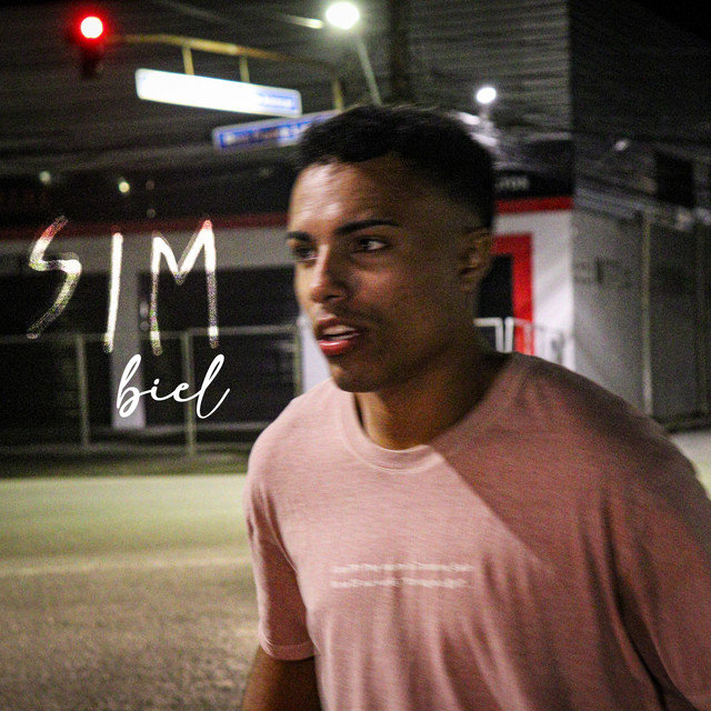 Sim cover art