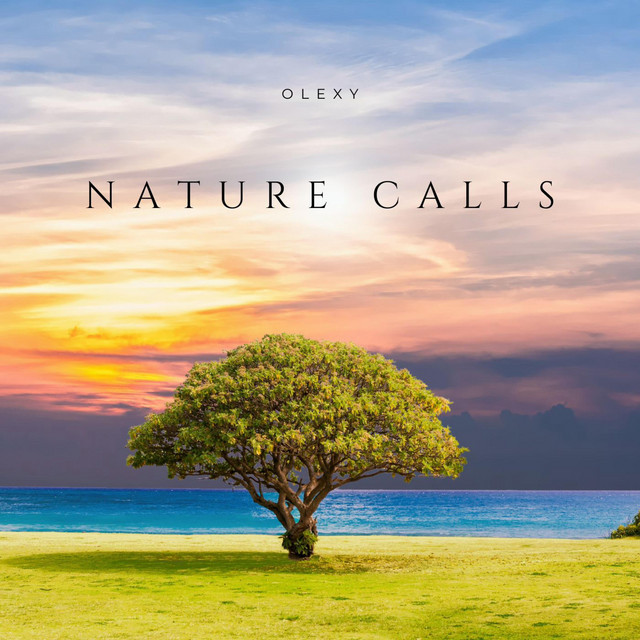 Обкладинка: Nature Calls — Lesfm