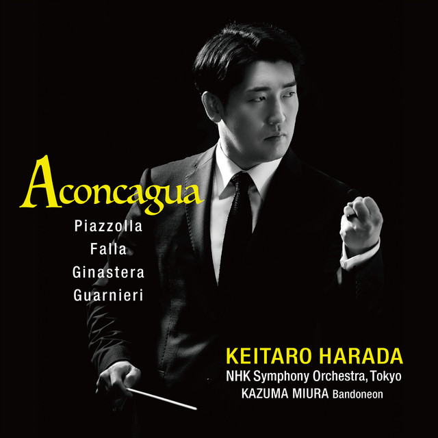 弦楽器と打楽器のための協奏曲 I: Vigoroso (with vigor) - song and