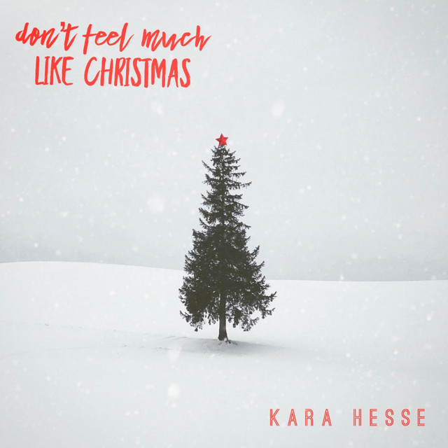 Don't Feel Much Like Christmas album image