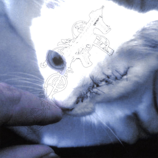 NEOVAMP cover art