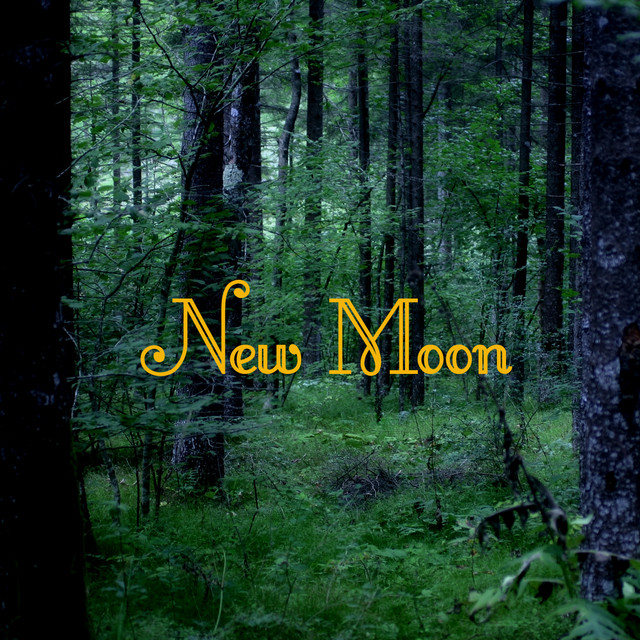 New Moon Piano Music and Vampire Instrumental Songs cover art