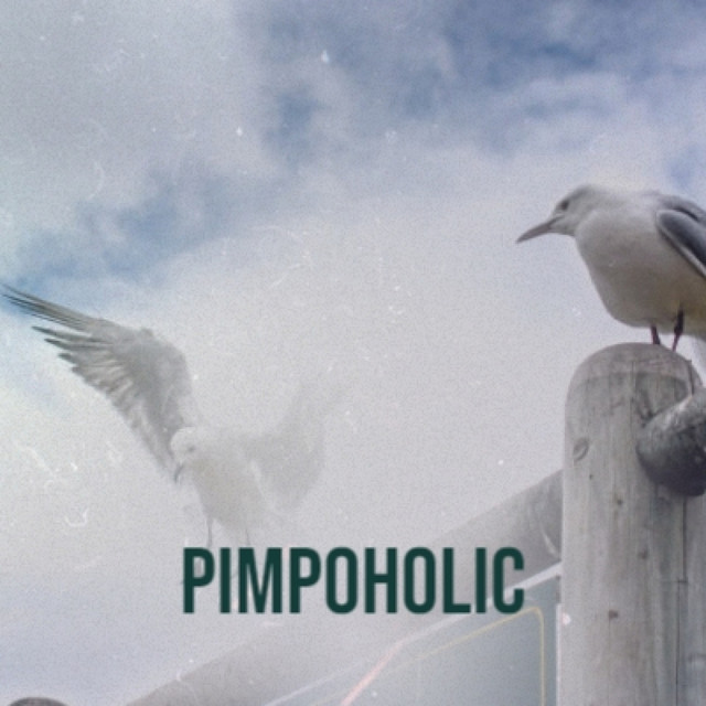 Pimpoholic cover art