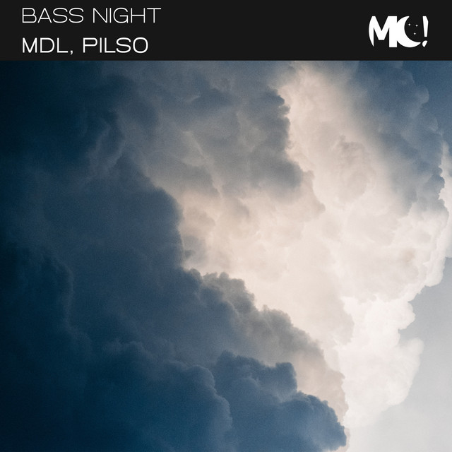 Bass Night cover art