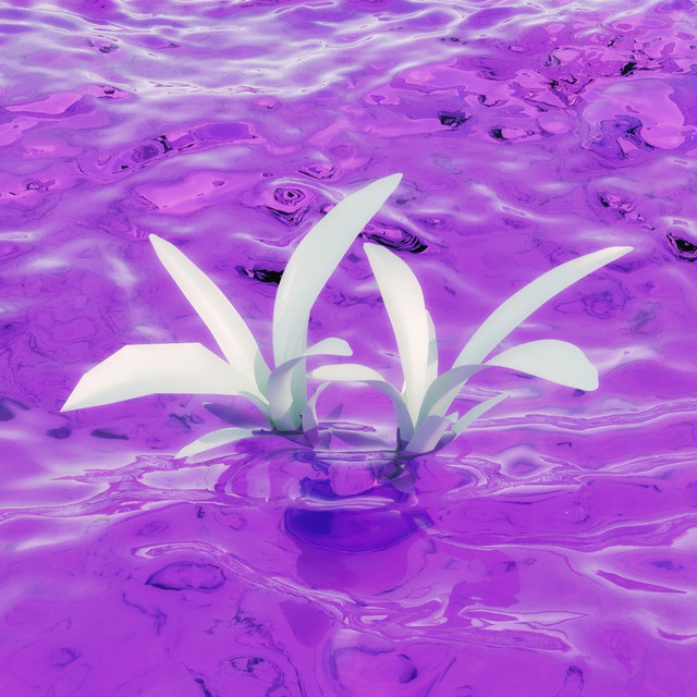 Divefusion Groove cover art