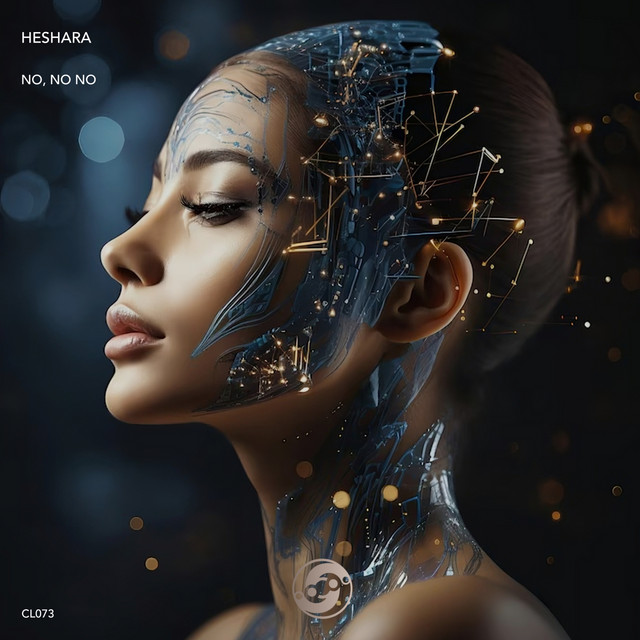 No, No No album art