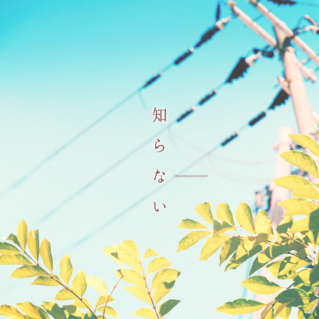知らない