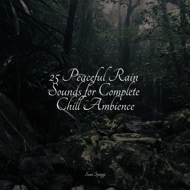 25 Peaceful Rain Sounds for Complete Chill Ambience - Album by Sleep ...