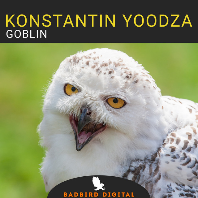 Обкладинка Konstantin Yoodza — Goblin