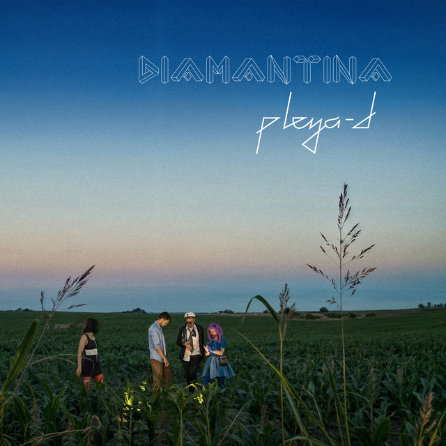 Pleya D cover