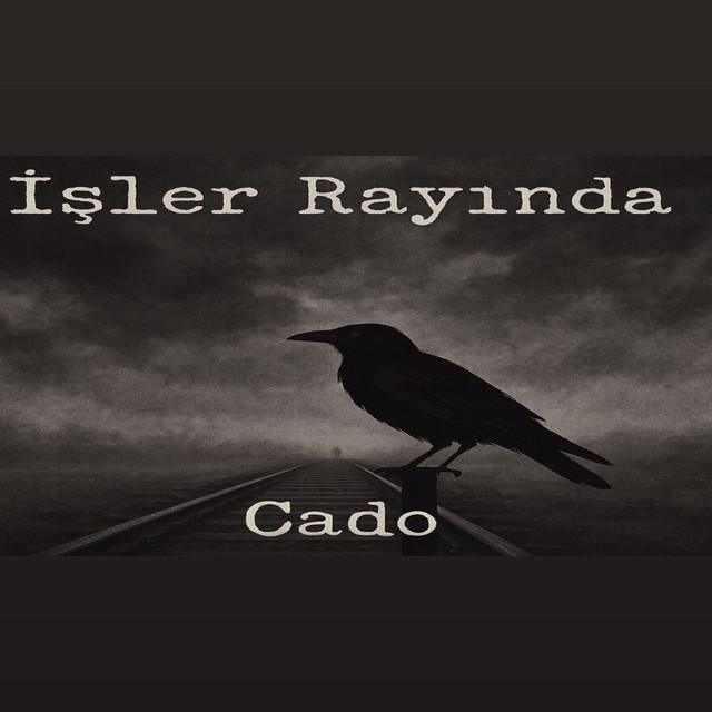 Işler Rayında cover art