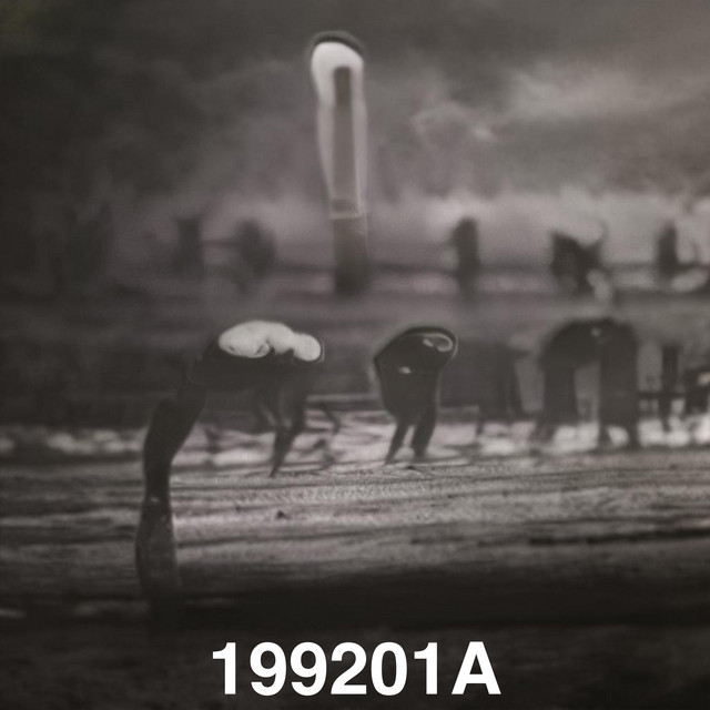 199201A cover art