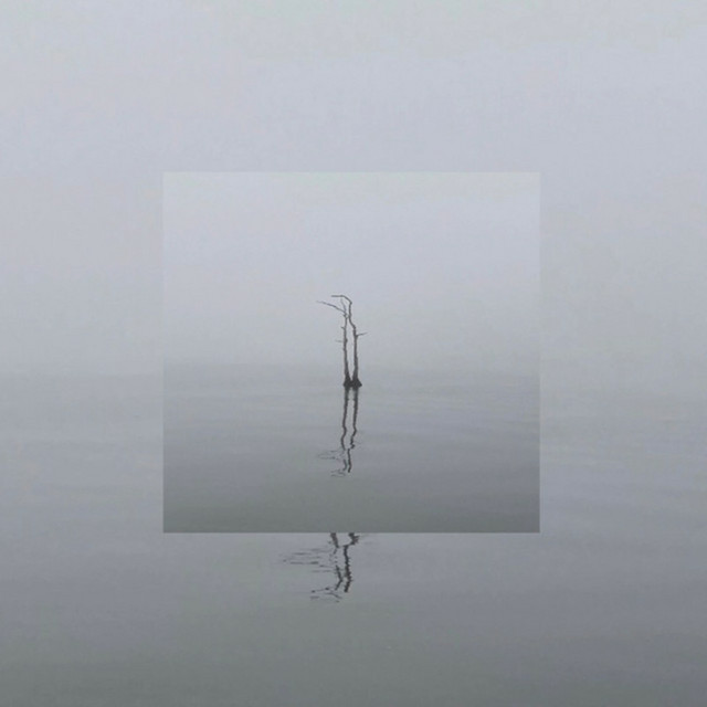 ScanDeluxe cover art