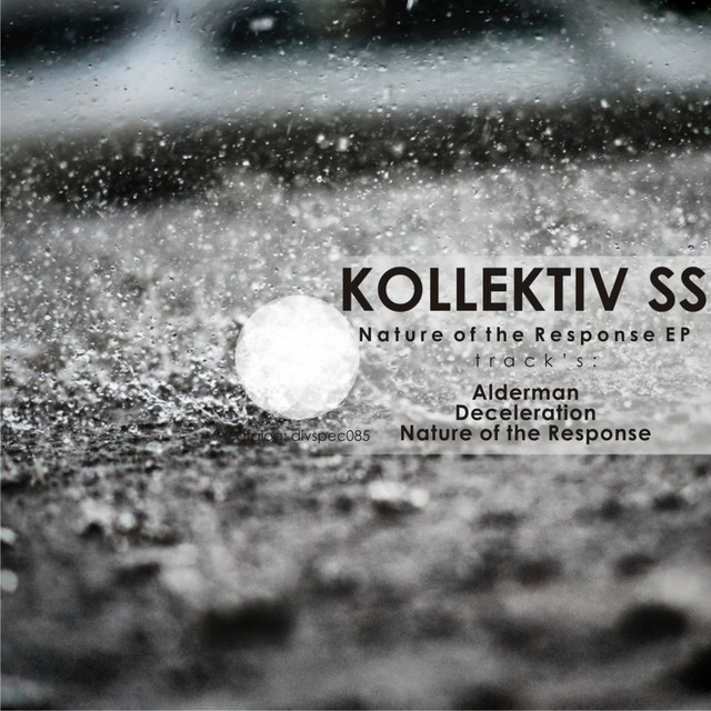 Nature of The Response cover art