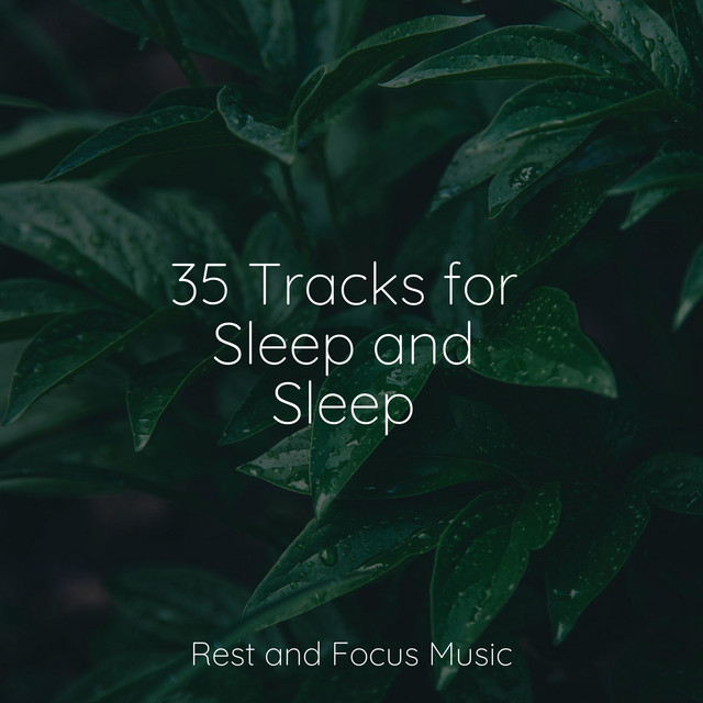 35 Tracks for Sleep and Sleep - Album by Zen | Spotify
