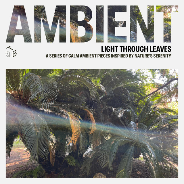 Tomasz Bednarczyk - Light Through Leaves