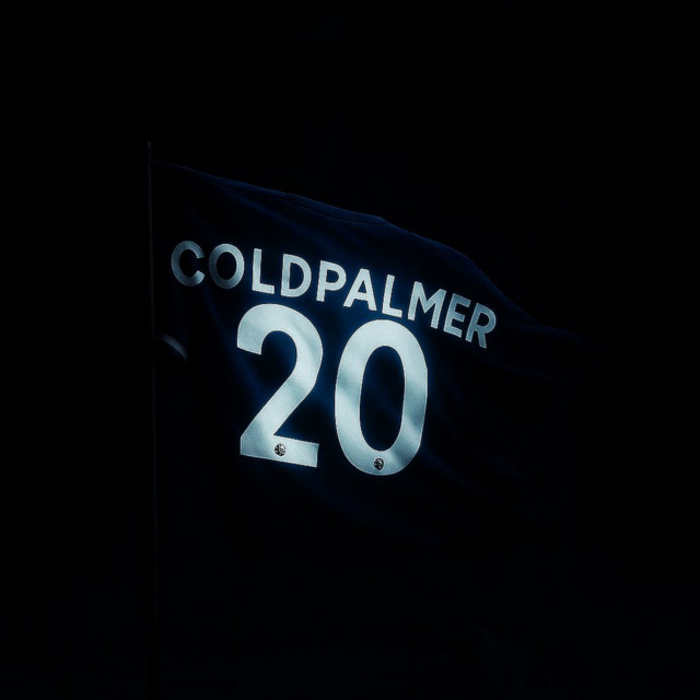 Coldpalmer20