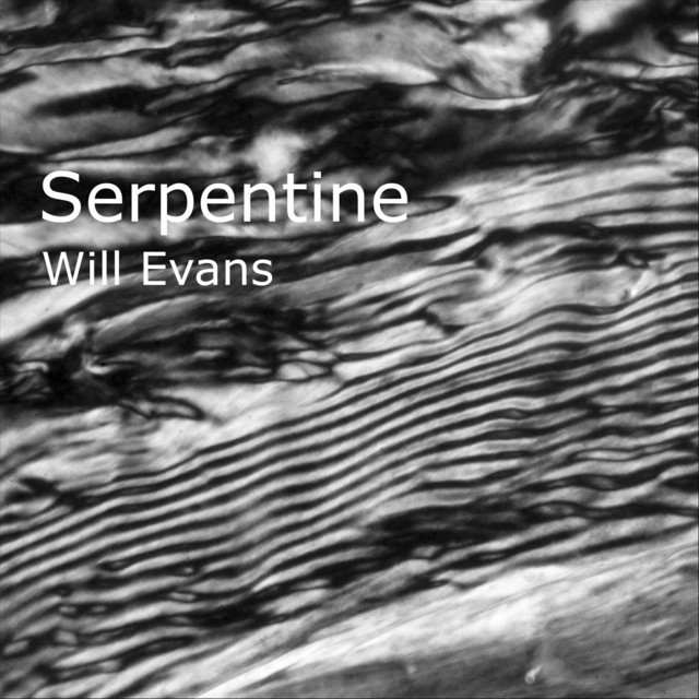 Will Evans