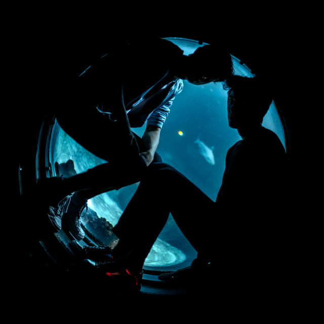 Spacefish