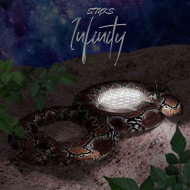 Infinity cover art