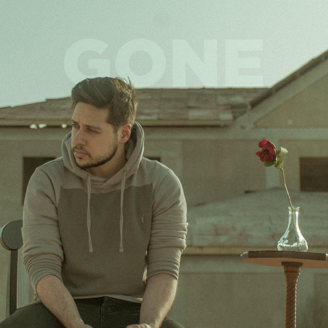 Gone cover art