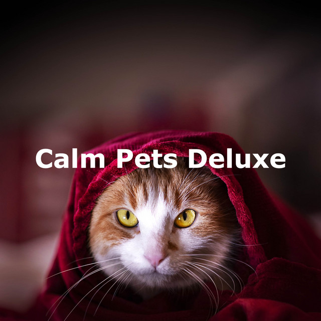Calm Pets Deluxe cover art
